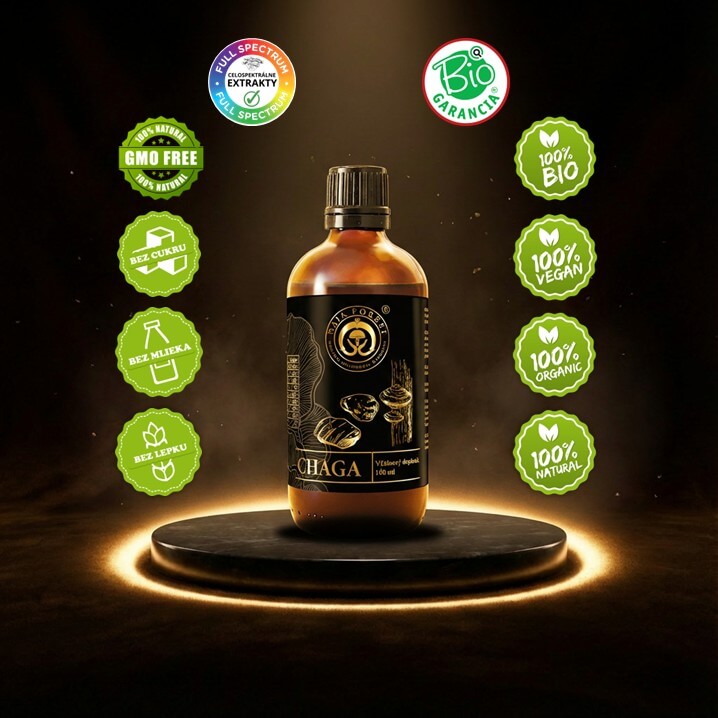 Naja Forest Bio Chaga Naja Forest Chaga vlastnosti